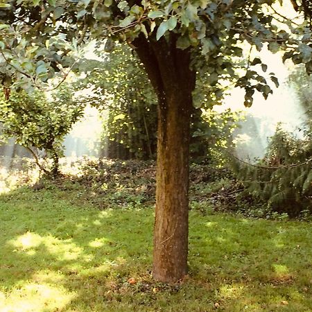Normandia Parfum De Pommes Et D'Histoire Βίλα Nonant Εξωτερικό φωτογραφία